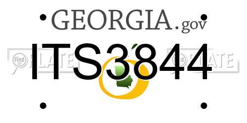 ITS3844 Georgia License Plate