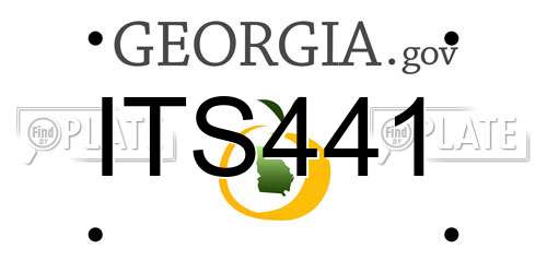 ITS441 Georgia License Plate