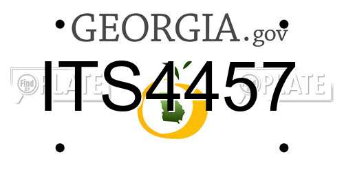 ITS4457 Georgia License Plate