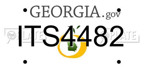 ITS4482 Georgia License Plate