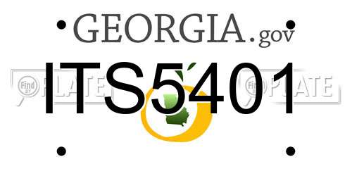 ITS5401 Georgia License Plate