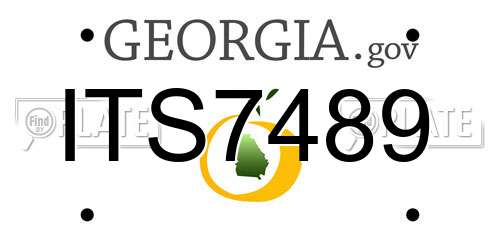 ITS7489 Georgia License Plate