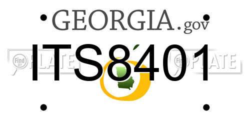ITS8401 Georgia License Plate