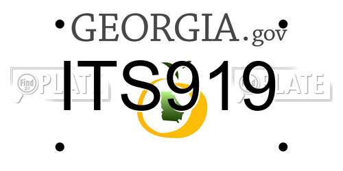 ITS919 Georgia License Plate