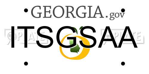 ITSGSAA Georgia License Plate