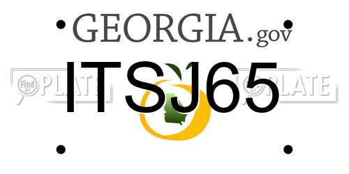 ITSJ65 Georgia License Plate
