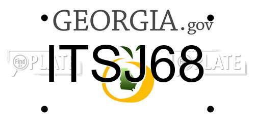 ITSJ68 Georgia License Plate