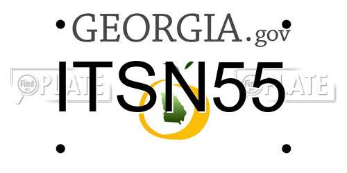 ITSN55 Georgia License Plate