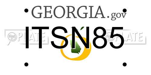 ITSN85 Georgia License Plate