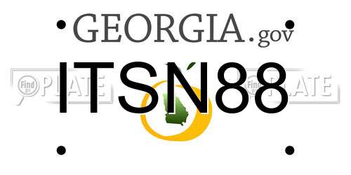 ITSN88 Georgia License Plate