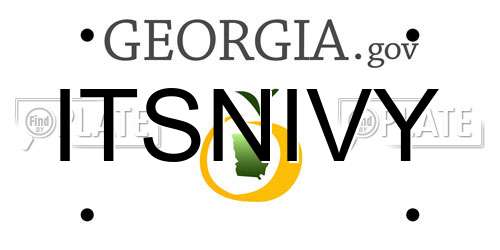 ITSNIVY Georgia License Plate