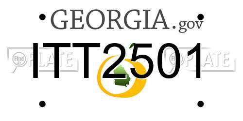 ITT2501 Georgia License Plate