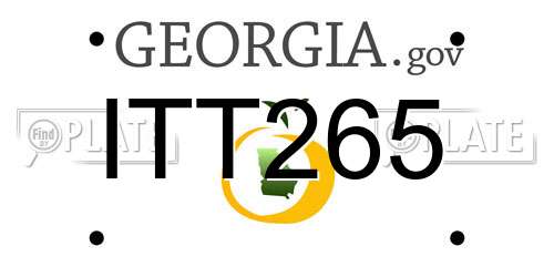 ITT265 Georgia License Plate