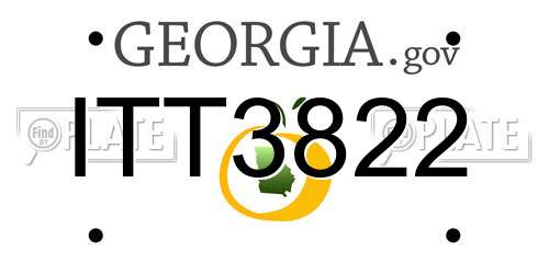 ITT3822 Georgia License Plate