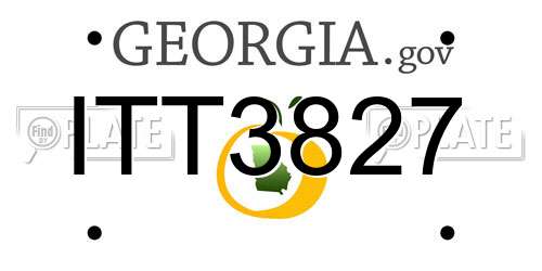 ITT3827 Georgia License Plate