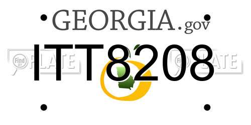 ITT8208 Georgia License Plate