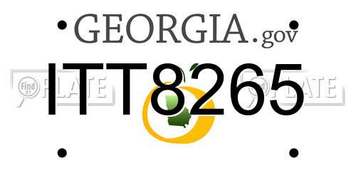ITT8265 Georgia License Plate