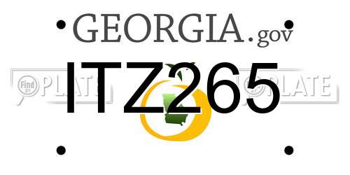 ITZ265 Georgia License Plate