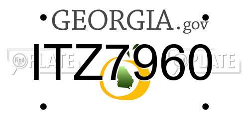 ITZ7960 Georgia License Plate
