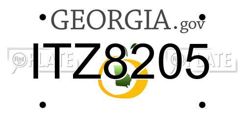 ITZ8205 Georgia License Plate