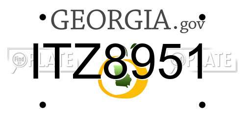 ITZ8951 Georgia License Plate
