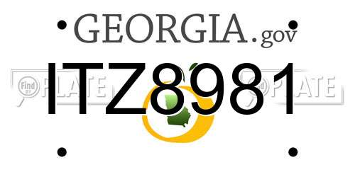 ITZ8981 Georgia License Plate