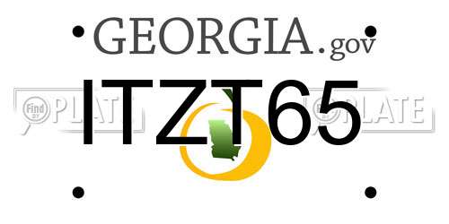 ITZT65 Georgia License Plate