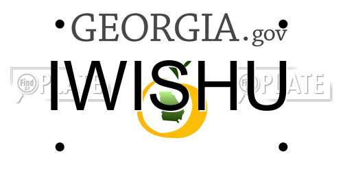 IWISHU Georgia License Plate