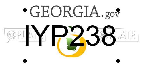 IYP238 Georgia License Plate