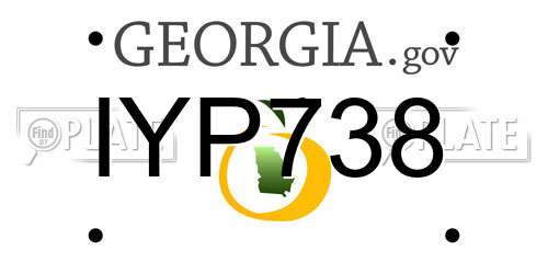 IYP738 Georgia License Plate