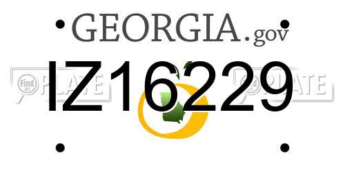 IZ16229 Georgia License Plate