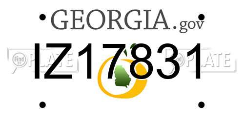 IZ17831 Georgia License Plate
