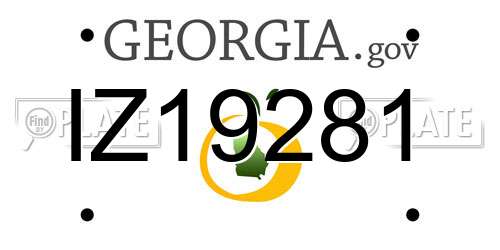 IZ19281 Georgia License Plate