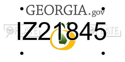IZ21845 Georgia License Plate