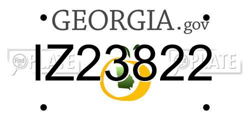 IZ23822 Georgia License Plate