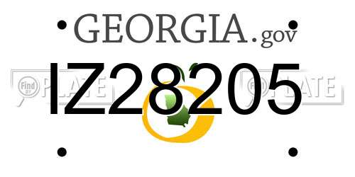 IZ28205 Georgia License Plate