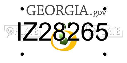 IZ28265 Georgia License Plate