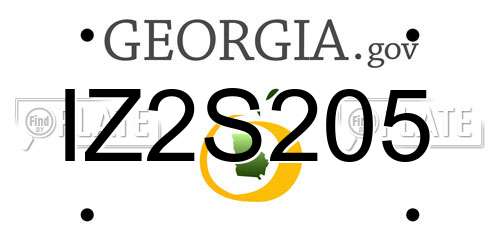 IZ2S205 Georgia License Plate