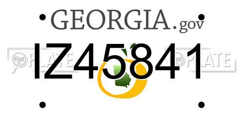 IZ45841 Georgia License Plate