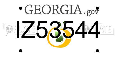 IZ53544 Georgia License Plate