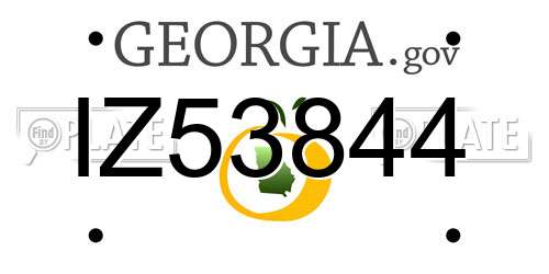IZ53844 Georgia License Plate