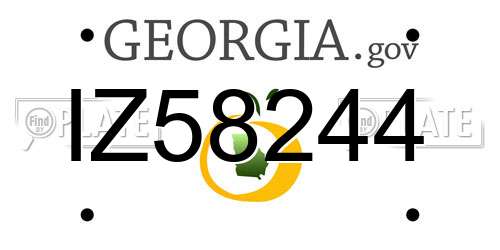 IZ58244 Georgia License Plate