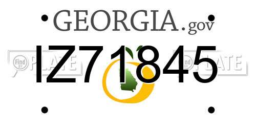 IZ71845 Georgia License Plate