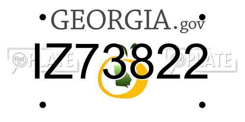 IZ73822 Georgia License Plate