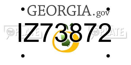IZ73872 Georgia License Plate