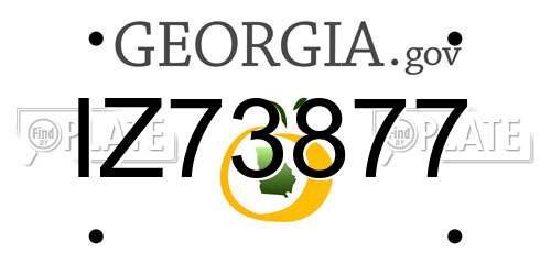 IZ73877 Georgia License Plate