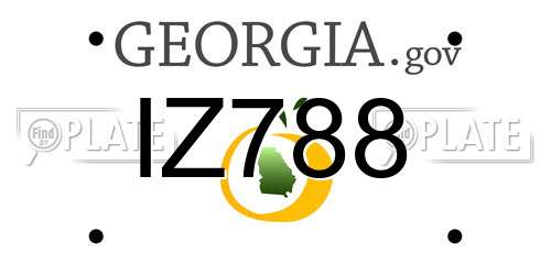 IZ788 Georgia License Plate