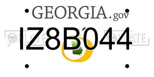 IZ8B044 Georgia License Plate