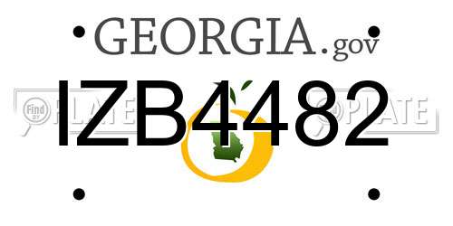 IZB4482 Georgia License Plate