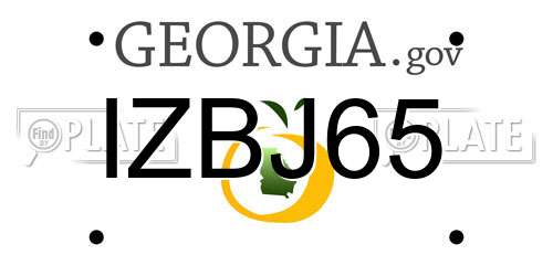 IZBJ65 Georgia License Plate